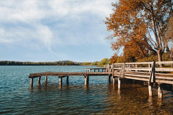 Comment la consommation de baies de Goji pourrait-elle atténuer le stress oxydatif ?