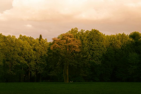 Cinq ingrédients à inclure dans votre alimentation pour une perte de poids efficace