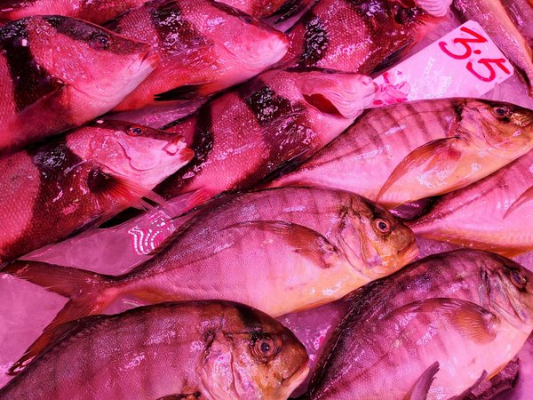 La perte de poids et la santé mentale